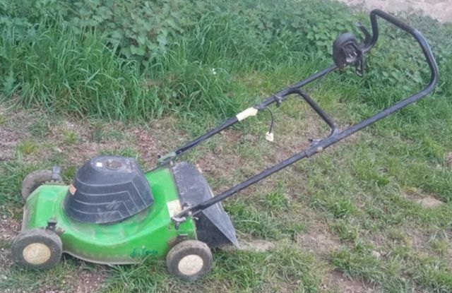 Tallagespa endollable Delverde 1100W