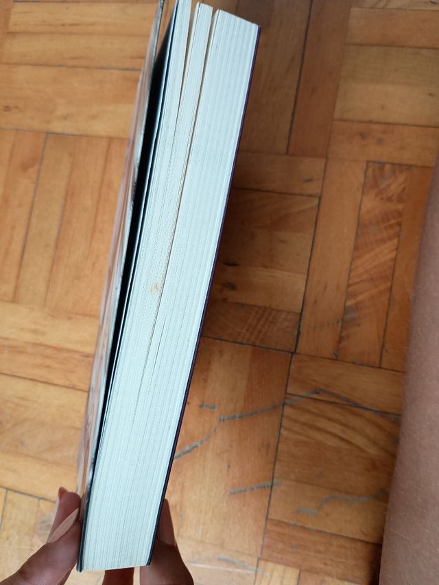 Firelight, 2. Vanish. Alma de niebla (Castellan...