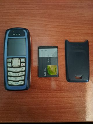 Nokia 3100