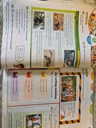 I Can Shine 3 Pupil's Book & Interactive Pupil'...