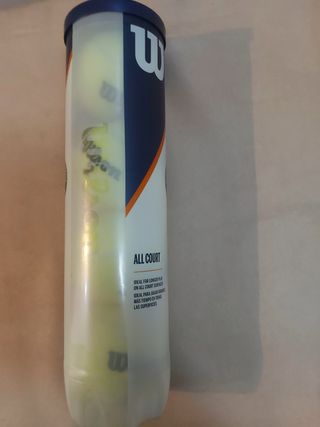 Pelotas Wilson All Court (3)