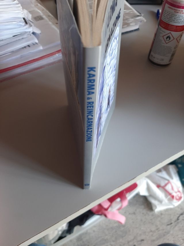 Karma e Reincarnazione