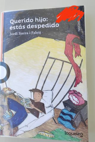 Lote de 5 libros de primaria – Como nuevos