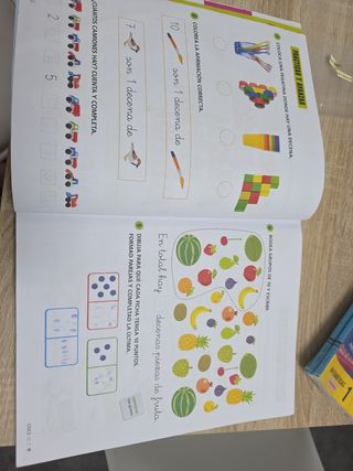 Proyecto: FanFest - Matemáticas 1 - Pauta. Trim...