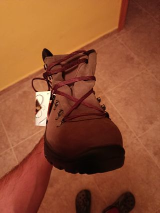 ROBUSTA Step Forward - Modelo Serval