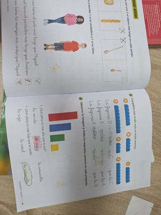 Proyecto: FanFest - Matemáticas 1 - Pauta. Trim...