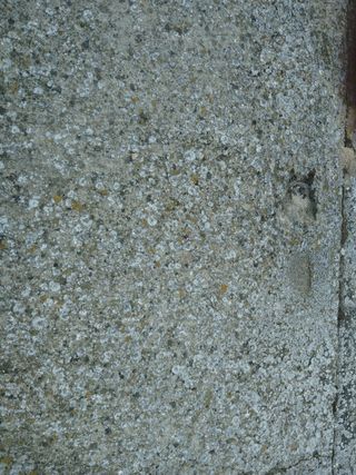 Cassetto per abbigliamento per bambini multicolore