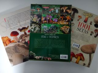 Lote de 3 libros de setas