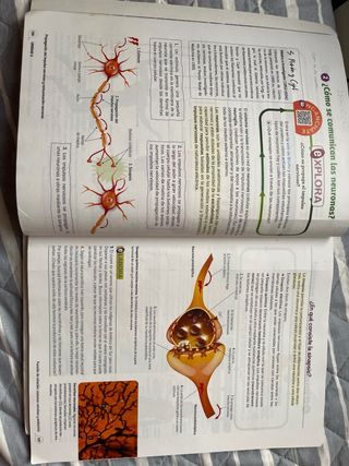 Biología y Geología