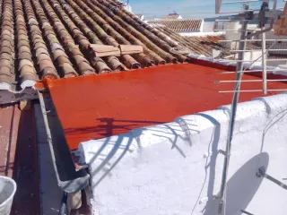 Reformas y ALICATADOS