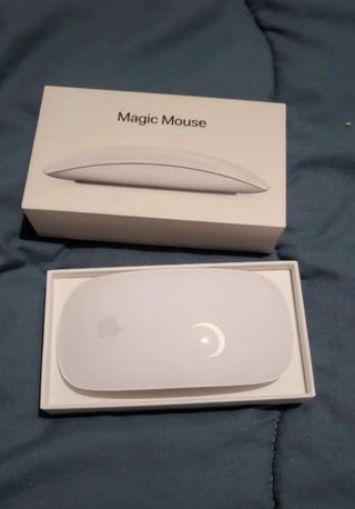 Mouse Apple Magic blanco.
