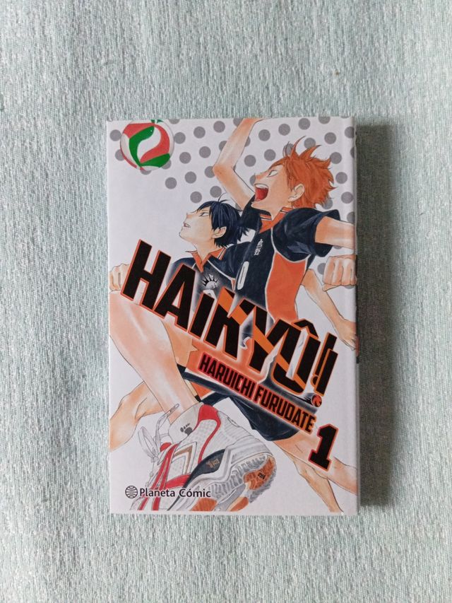 Mangas variados 
