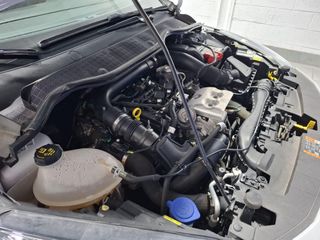 FORD Fiesta 1.0 EcoBoost 74kW (100CV) Trend 5p