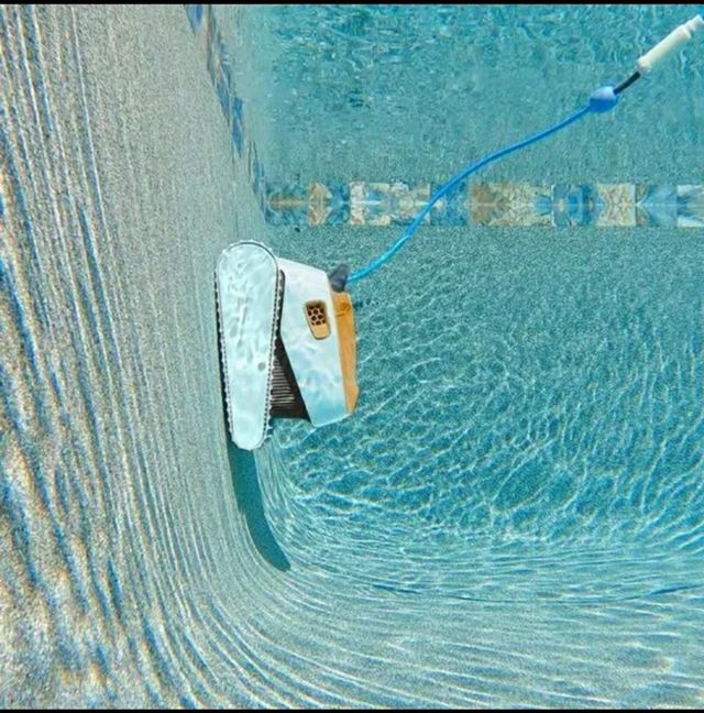 ROBOT DOLPHIN EX20 PARA PISCINA.