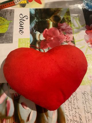 Cuscino a forma di cuore rosso
