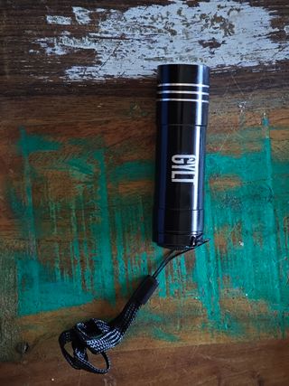 Gylt Collector's Edition PS5