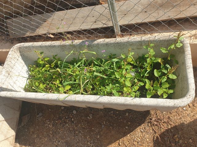 Macetero granito beige