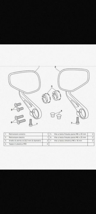 Specchietti per moto Triumph Bar End in alluminio