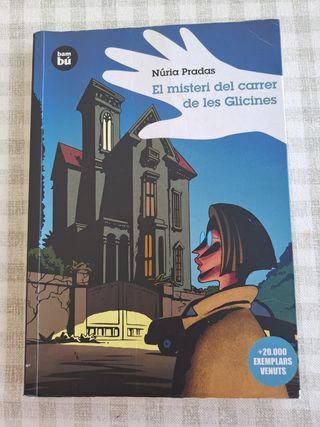 El misteri del carrer de les Glicines