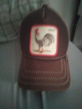 Gorra Goorin Bros. Gallo
