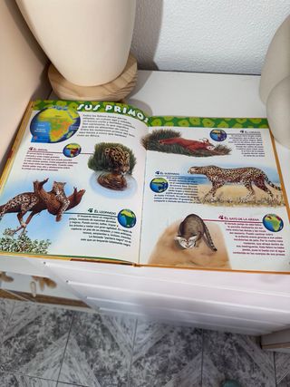 libro Disney sobre leones.