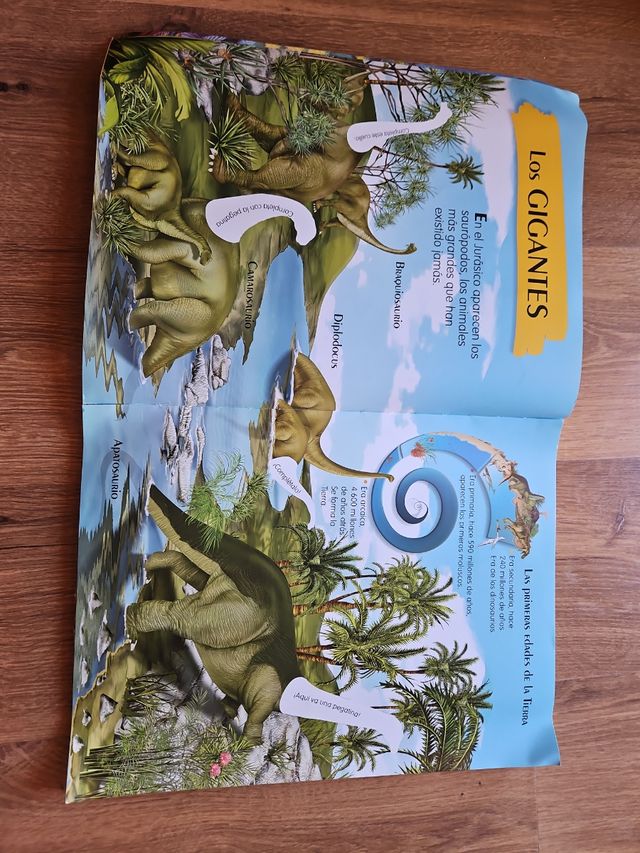 1000 dinosaurios para buscar