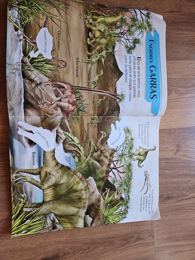 1000 dinosaurios para buscar