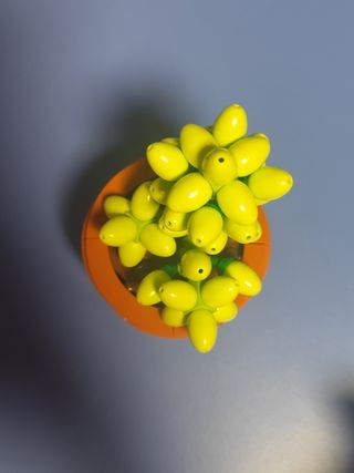 Lego Pianta Grassa