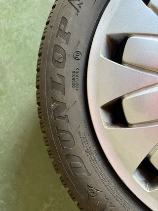 Rueda Ford Focus 205/55R16 91 T