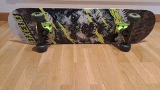 Monopatín Skate 




