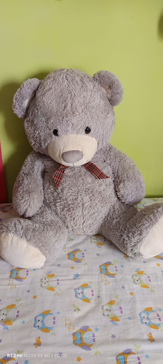 Orsacchiotto grigio gigante