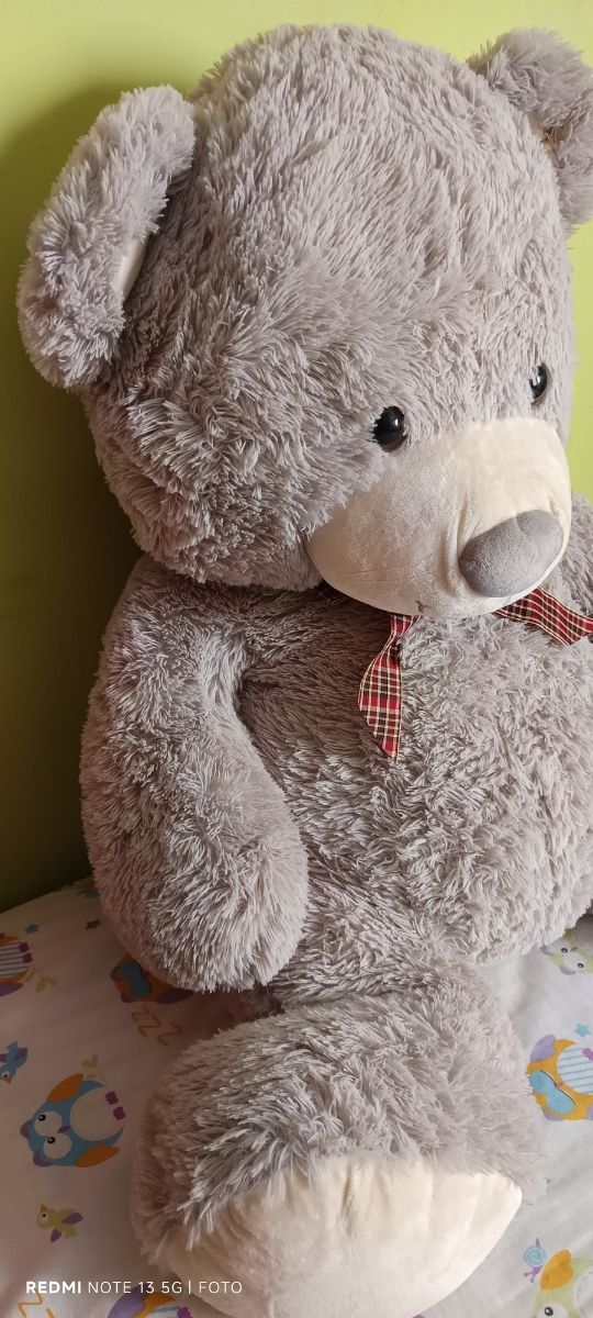 Orsacchiotto grigio gigante