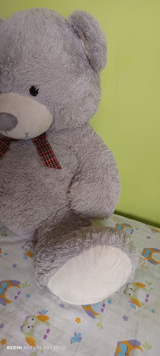 Orsacchiotto grigio gigante