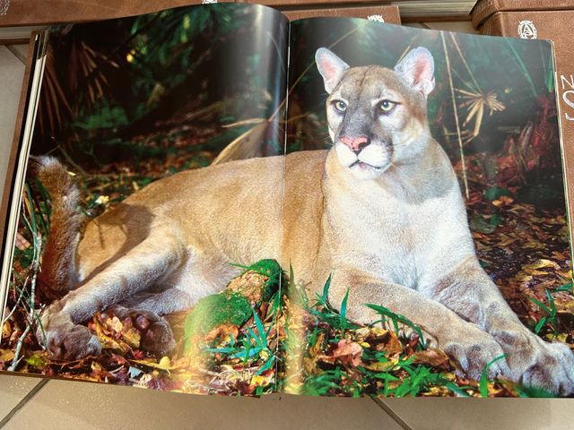 Naturaleza Salvaje: 6 libros