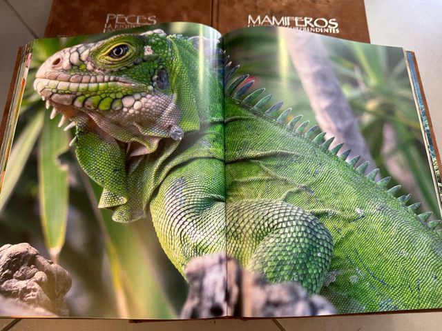 Naturaleza Salvaje: 6 libros