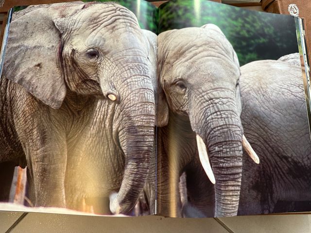 Naturaleza Salvaje: 6 libros