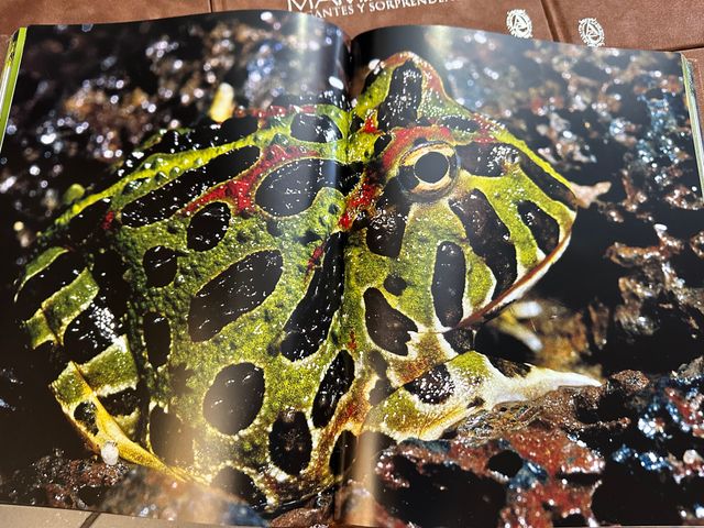 Naturaleza Salvaje: 6 libros