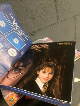 Álbum cromos Harry Potter Panini