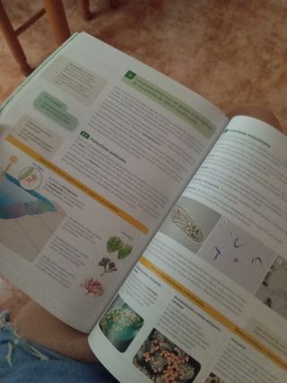 libro biología y geología 1 bach santillana serie 