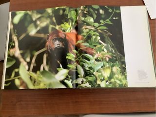 Amazonia : Viaje a los origenes