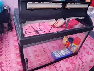 Pecera acuario 20L