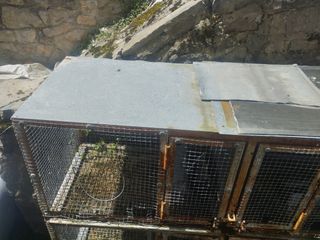 Jaulas pájaros - Jaulas de cria