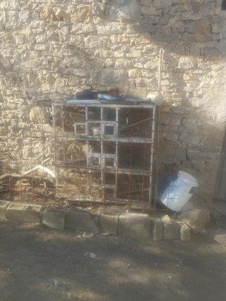 Jaulas pájaros - Jaulas de cria