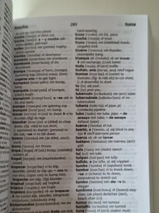 Diccionario Inglés - Español Collins