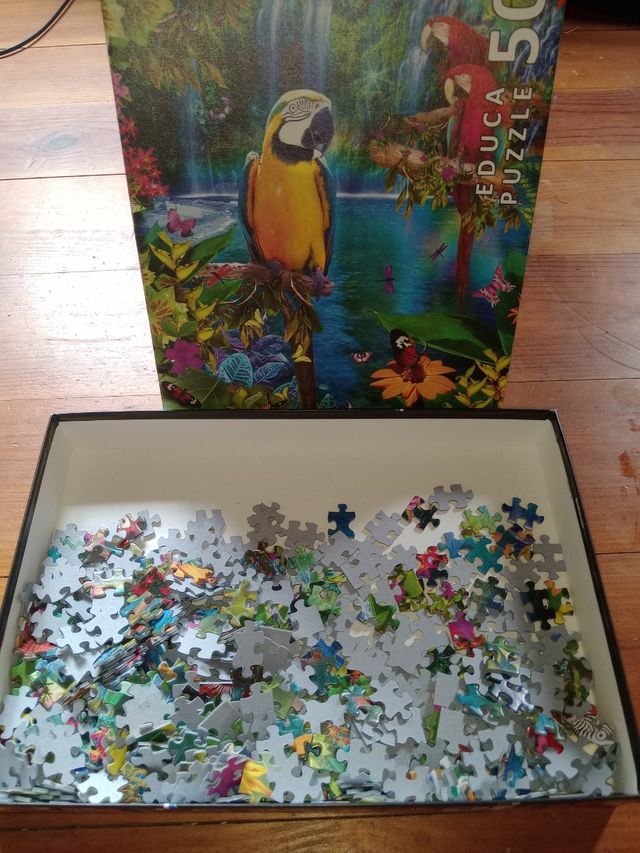 GIOCO DA TAVOLO EDUCA JIGSAW PUZZLE 500 PEZZI