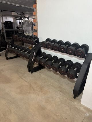 3 Mancuerneros salter gama alta de 2.5 a 40kg