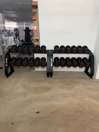 3 Mancuerneros salter gama alta de 2.5 a 40kg