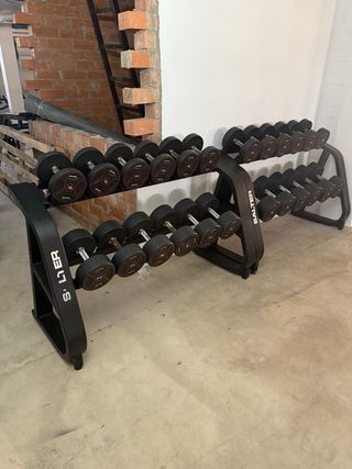 3 Mancuerneros salter gama alta de 2.5 a 40kg
