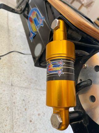 Patinete eléctrico adulto