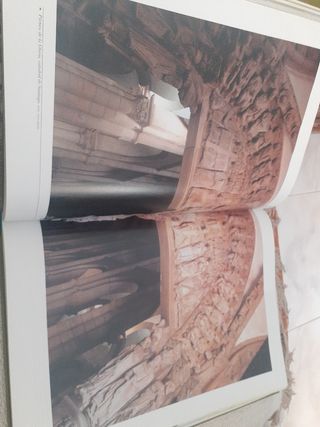 El camino de santiago (Spanish Edition)